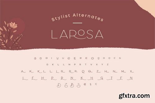 CM - Larosa Sans Elegant Typeface 3982547