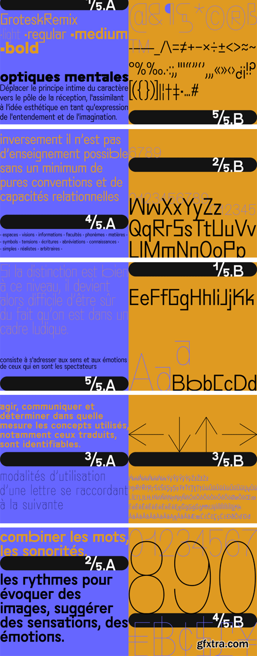 Grotesk Remix Font Family