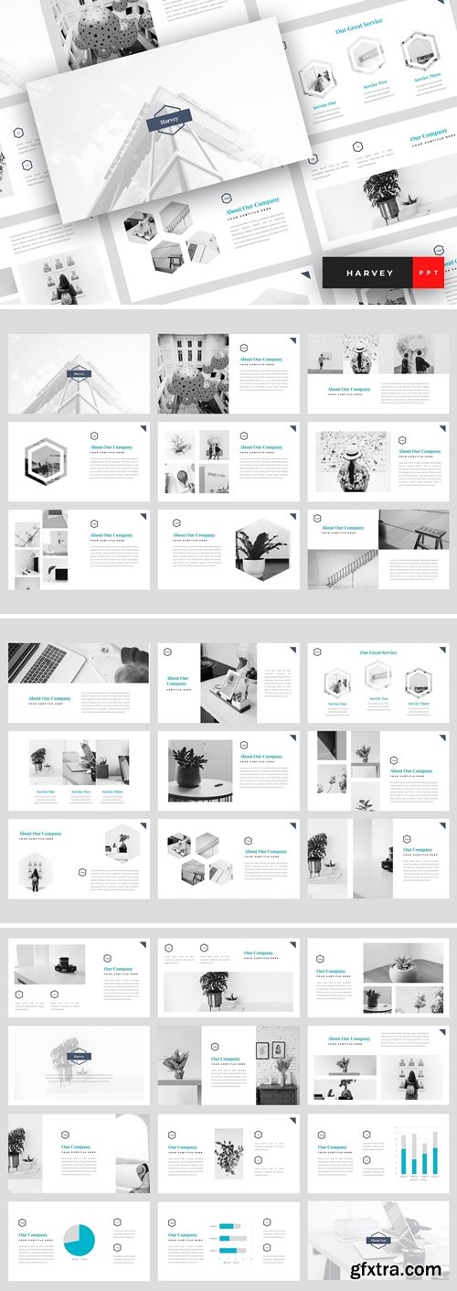 Harvey Powerpoint, Keynote and Google Slides Templates