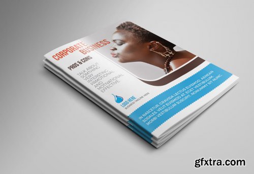 Bifold Corporate Brochure