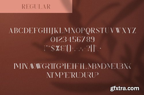 Kindel - Serif Typeface | 4 styles