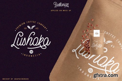 CreativeMarket - Bellonion Script ( font duo ) 3553145