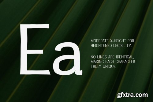 CreativeMarket - Greenstyle Casual Humanist Font 2672063