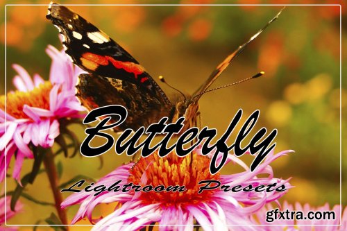 Butterfly Instagram Blogger Lightroom Presets