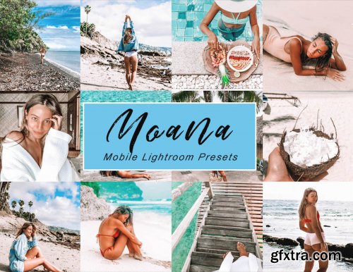 CreativeMarket - Mobile Lightroom Preset MOANA 3889705