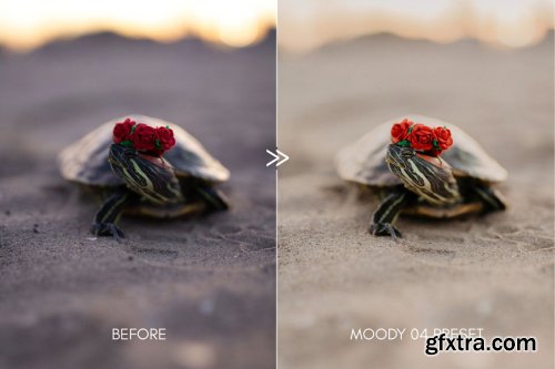 CreativeMarket - Clean & Moody Film Lightroom Presets 3890128