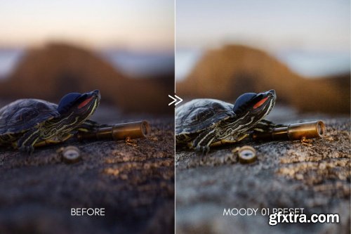 CreativeMarket - Clean & Moody Film Lightroom Presets 3890128