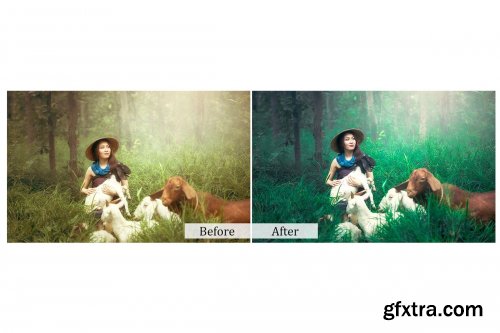 CreativeMarket - 75 Nature Photoshop Actions