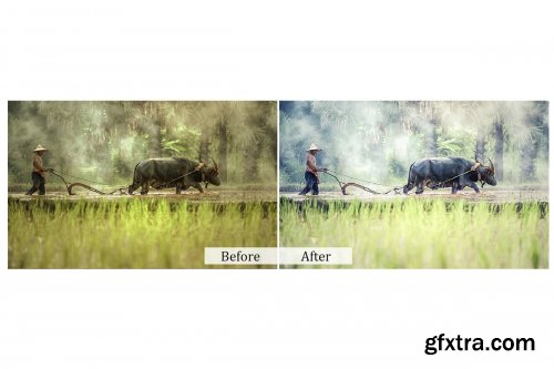 CreativeMarket - 75 Nature Photoshop Actions