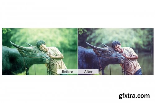 CreativeMarket - 90 Nature Photoshop Actions Vol2 3937918