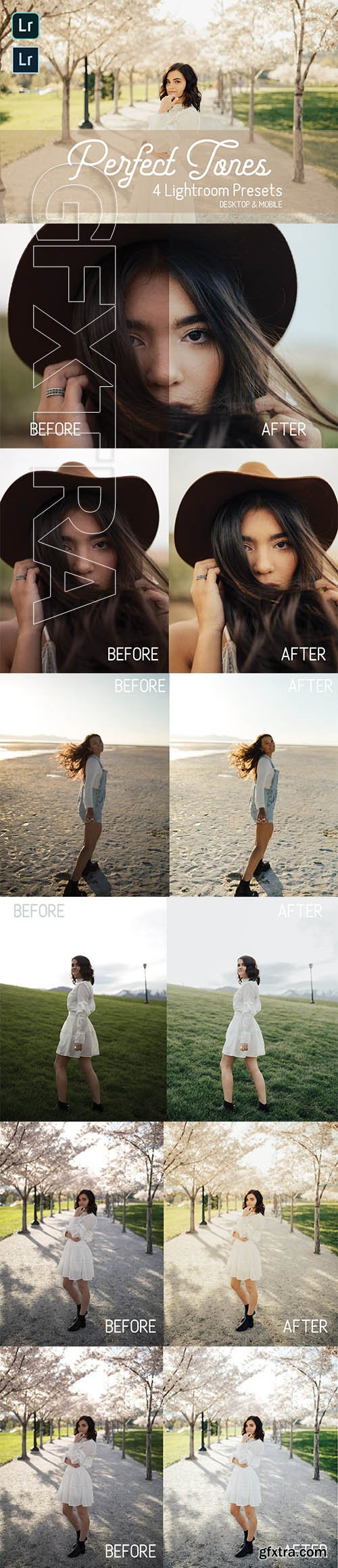 CreativeMarket - Perfect Tones Lightroom Presets 3979543