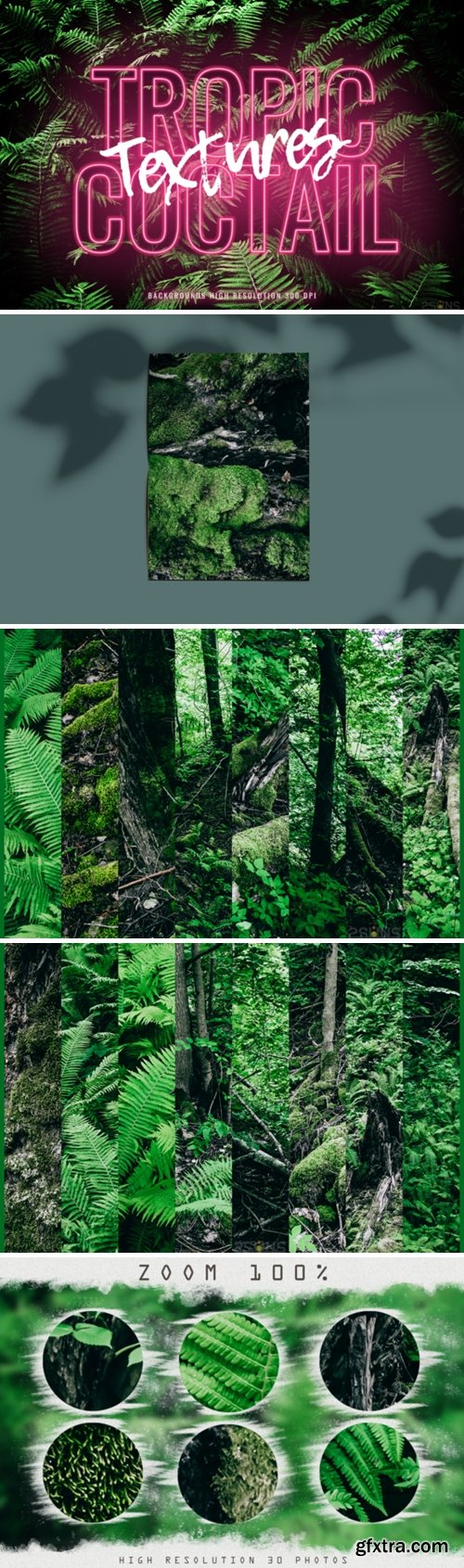 Textures Tropic Fern Backgrounds Digital 1672185