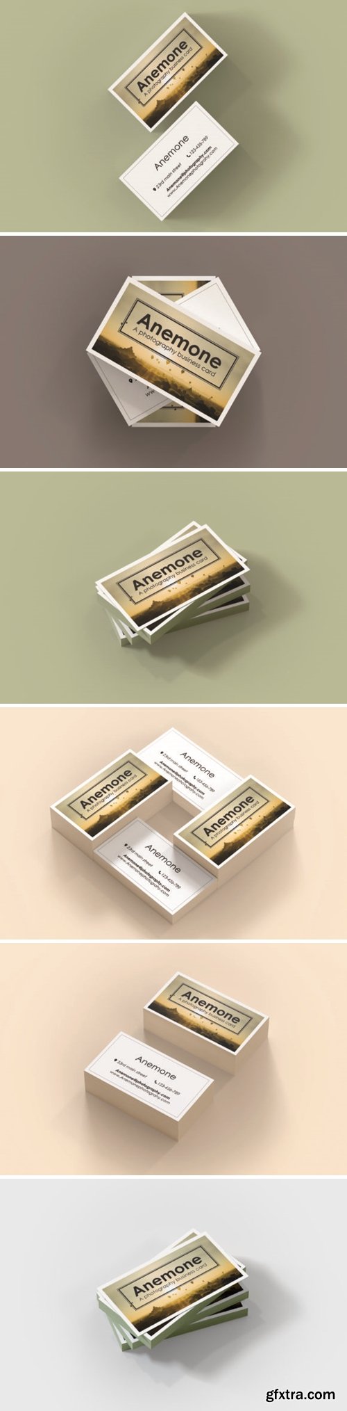 ANEMONE: a Photography Business Card 1671933