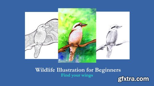 Wildlife Illustration for Beginners: Find your wings!