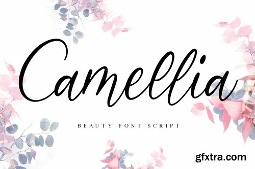 Camellia Beauty Script Font