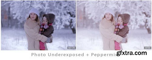 Photographer Resources - The Ultimate Season Action Bundle