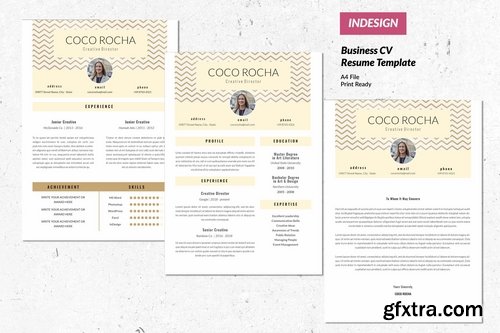 Creative Director CV Resume Template Vol. 51