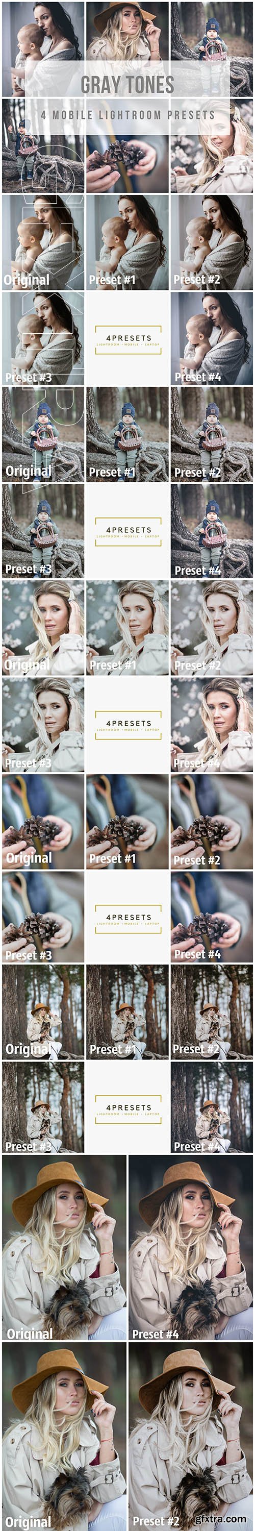 CreativeMarket - Mobile Lightroom Presets Gray tones 3889930