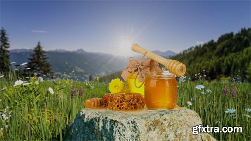 VideoHive Organic Product Intro 23664850