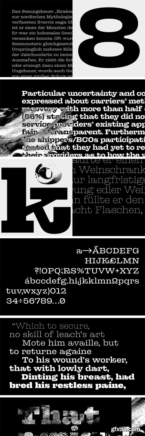 FR Kraken Slab Font Family