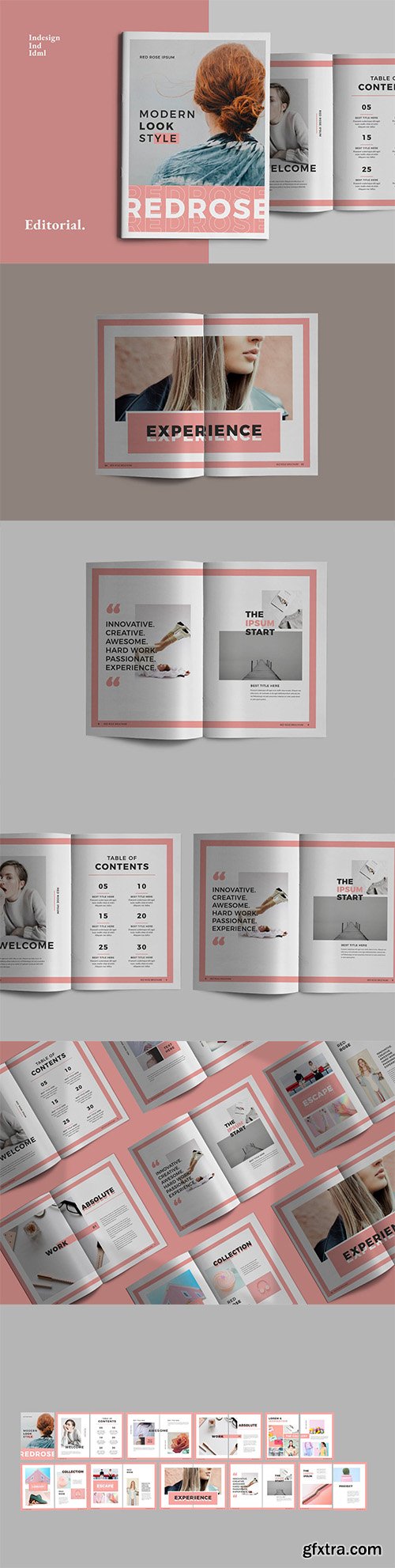 Red Pastel Brochure