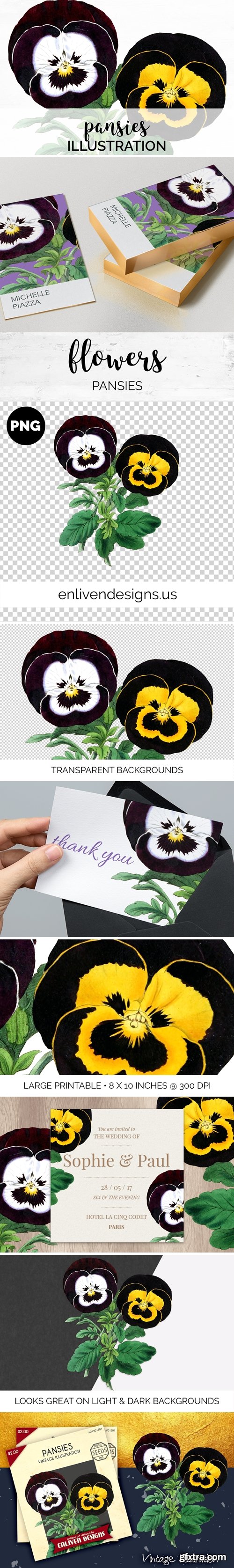 Pansies Floral Illustration Vintage Clipart Graphics