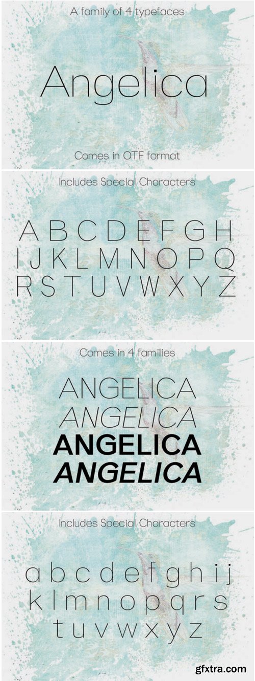 Angelica Font