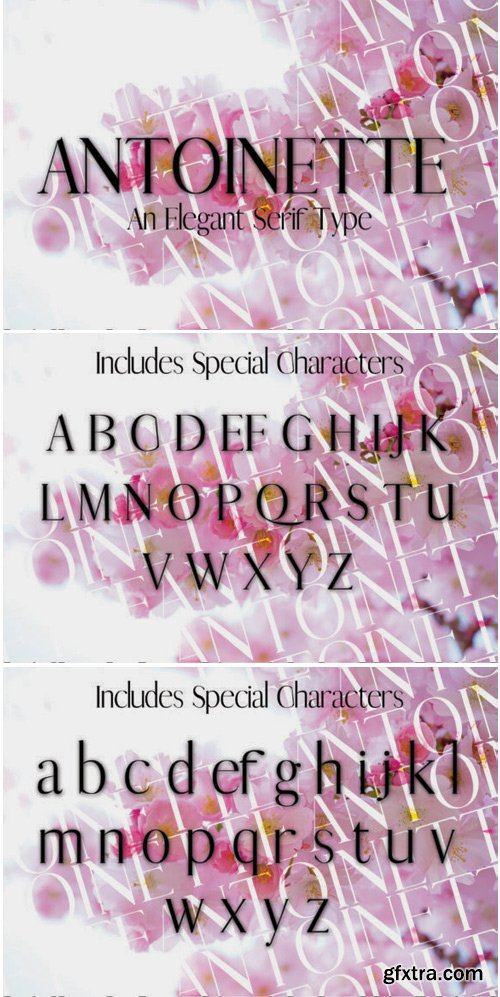 Antoinette Font