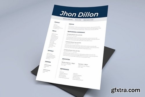 Resume CV Template Pro