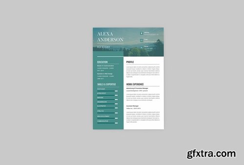 CV Lively Resume Designer