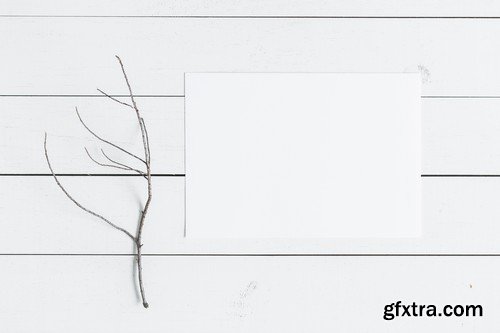 CM - Minimalist Branch A5 Card Mockup 1473308