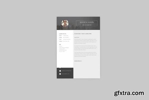 Delight CV Resume Designer