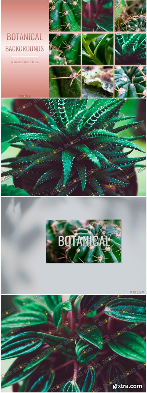 Botanical Textures Pack Backgrounds 1684545