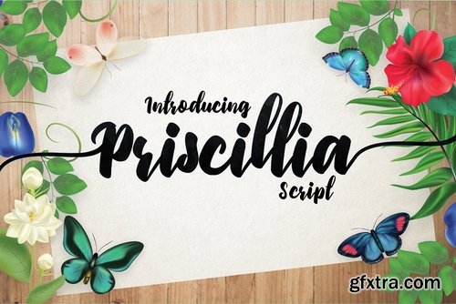 CM - Priscillia Script 1690825