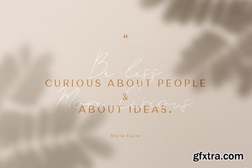 CM - Marie Curie - Sans & Script 4001434