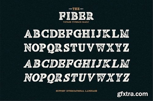 CM - Fibre - Vintage Serif Font 3997697