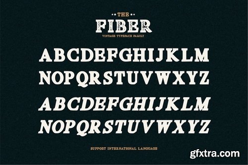 CM - Fibre - Vintage Serif Font 3997697