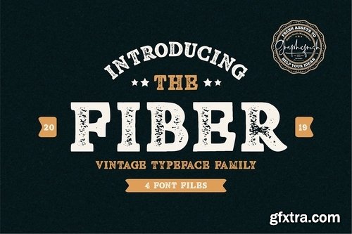 CM - Fibre - Vintage Serif Font 3997697