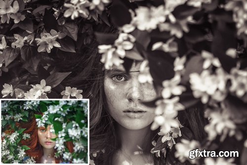 InkyDeals 1500+ Professional Lightroom Presets Bundle