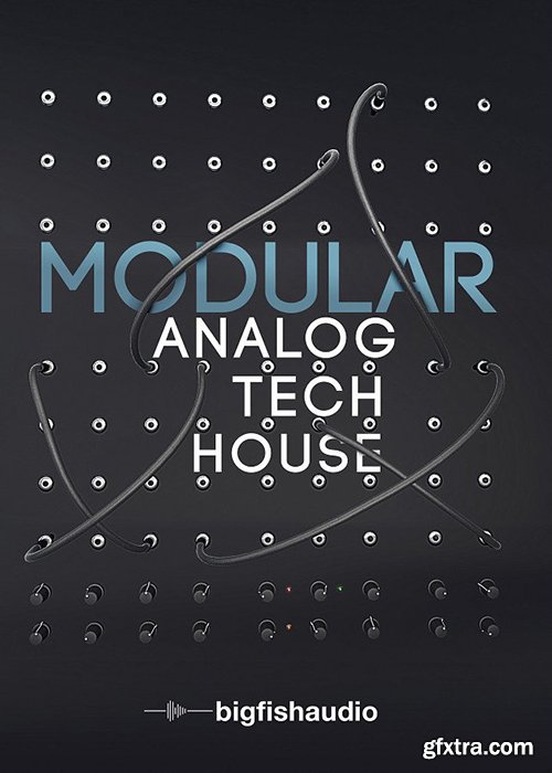 Big Fish Audio Modular: Analog Tech House KONTAKT-AwZ