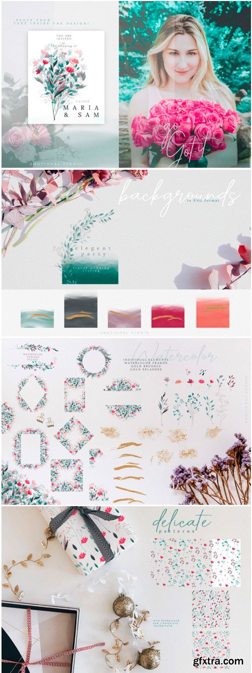 Aloe Theme Watercolor Collection High 1693278