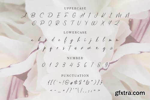 Barleymoon Beauty Script Font