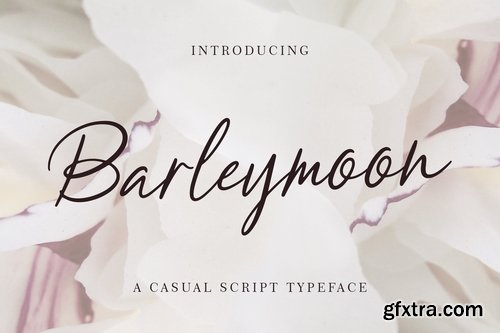 Barleymoon Beauty Script Font