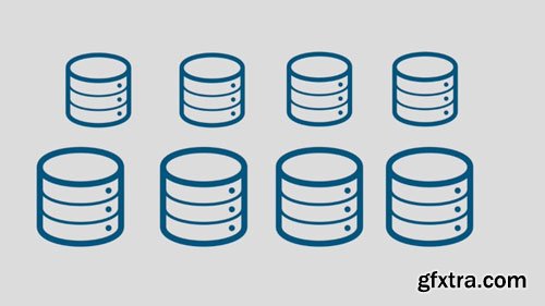 Introduction to Database Management Systems (DBMS)