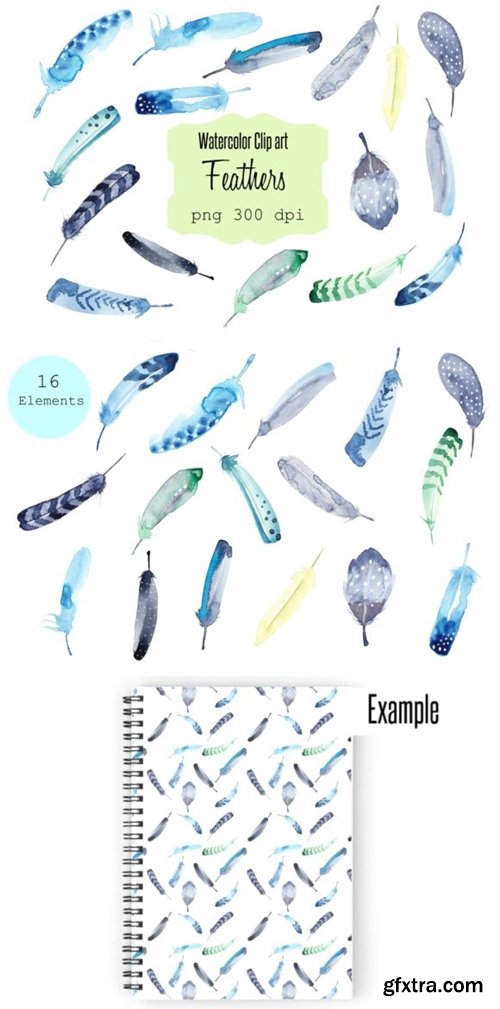 Watercolor Clip Art Feathers