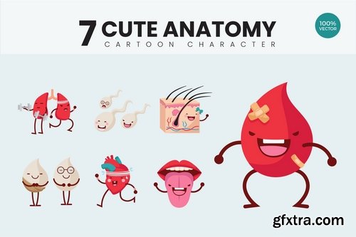 7 Cute Human Anatomy Vector Illustration Vol.1