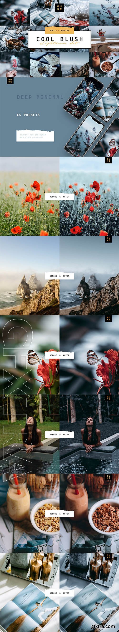 CreativeMarket - 5 Cool Blush Lightroom Presets Pack 4001769