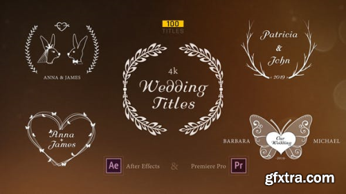 VideoHive Wedding Titles 23506580