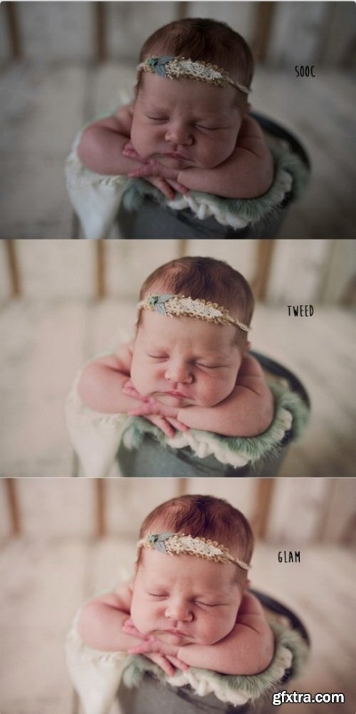 Twig & Olive Photography - LR Daydream Presets