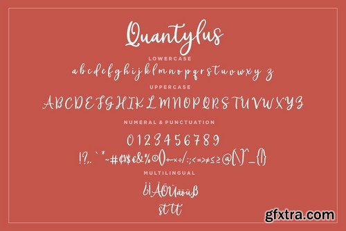 Quantylus Calligraphy Signature